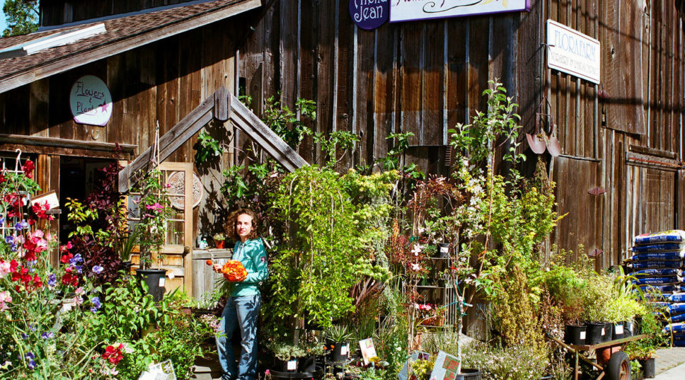 Planting Container-Grown Plants