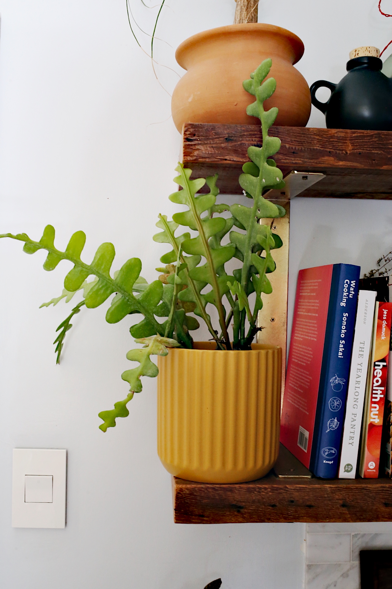 Fishbone Cactus Shelf