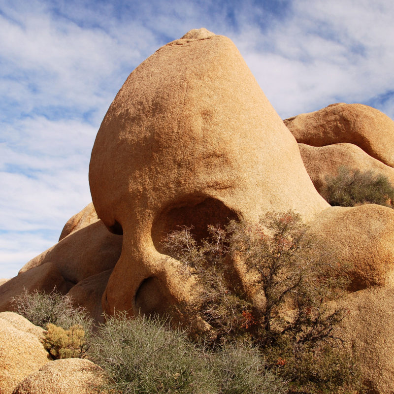 best place to visit joshua tree