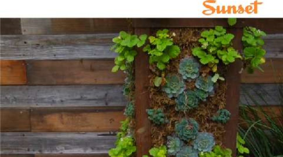 Vertical gardens tour: San Francisco Idea House