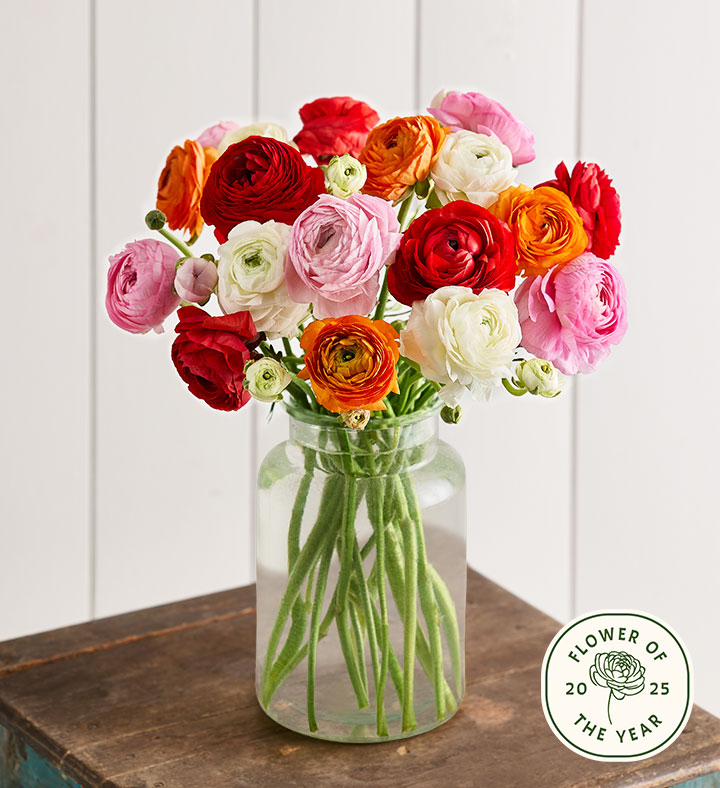 1-800-Flowers Ranunculus