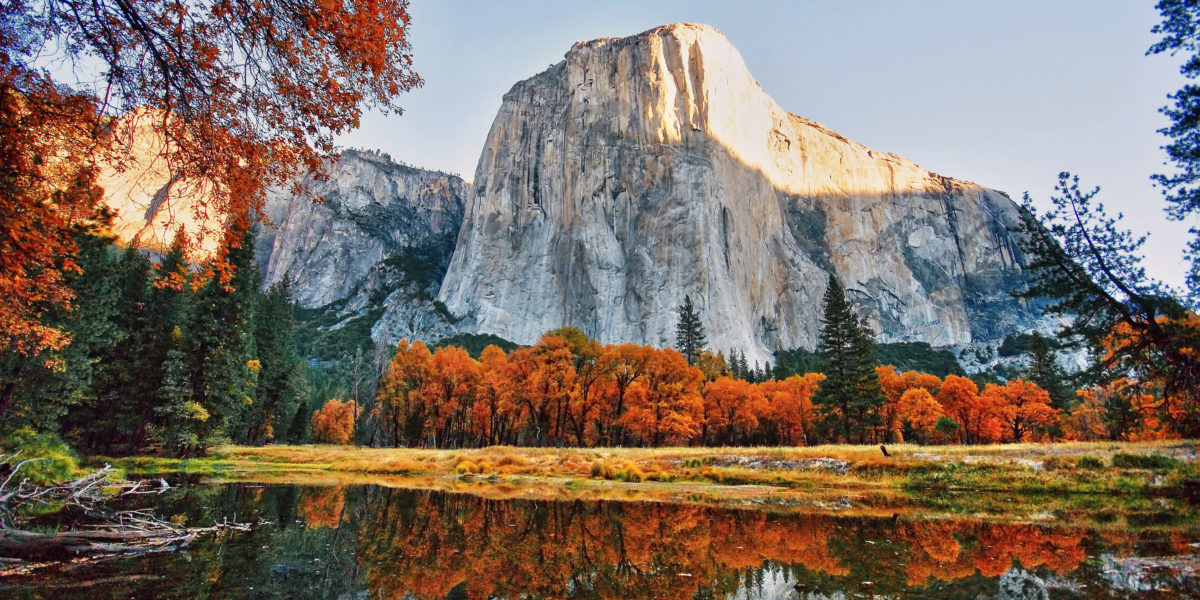 Quiet Camping at Yosemite National Park, CA