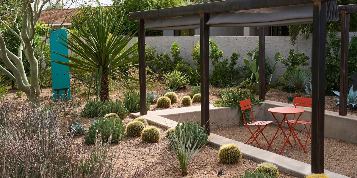 Trueform Waterwise Garden Drought Native Plants