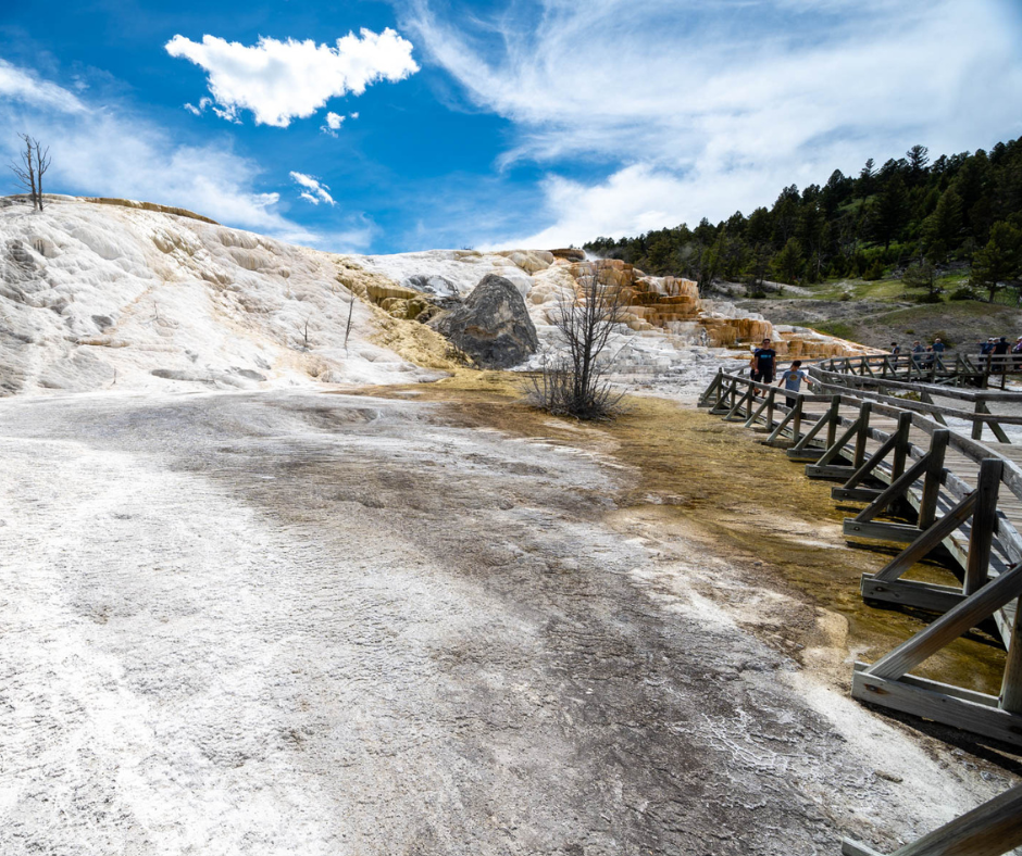 Mammoth Hot Springs (Hugh Simmons).png