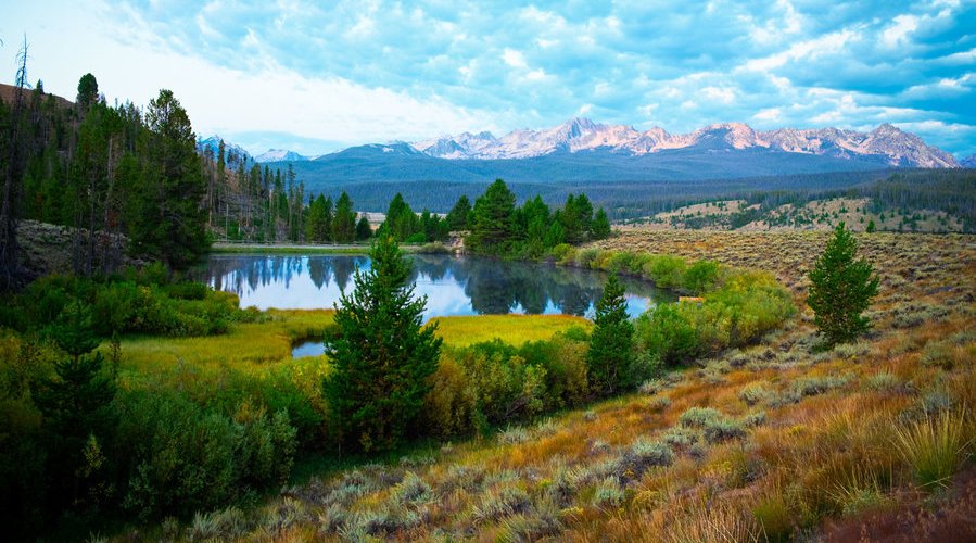 the-environmental-movement