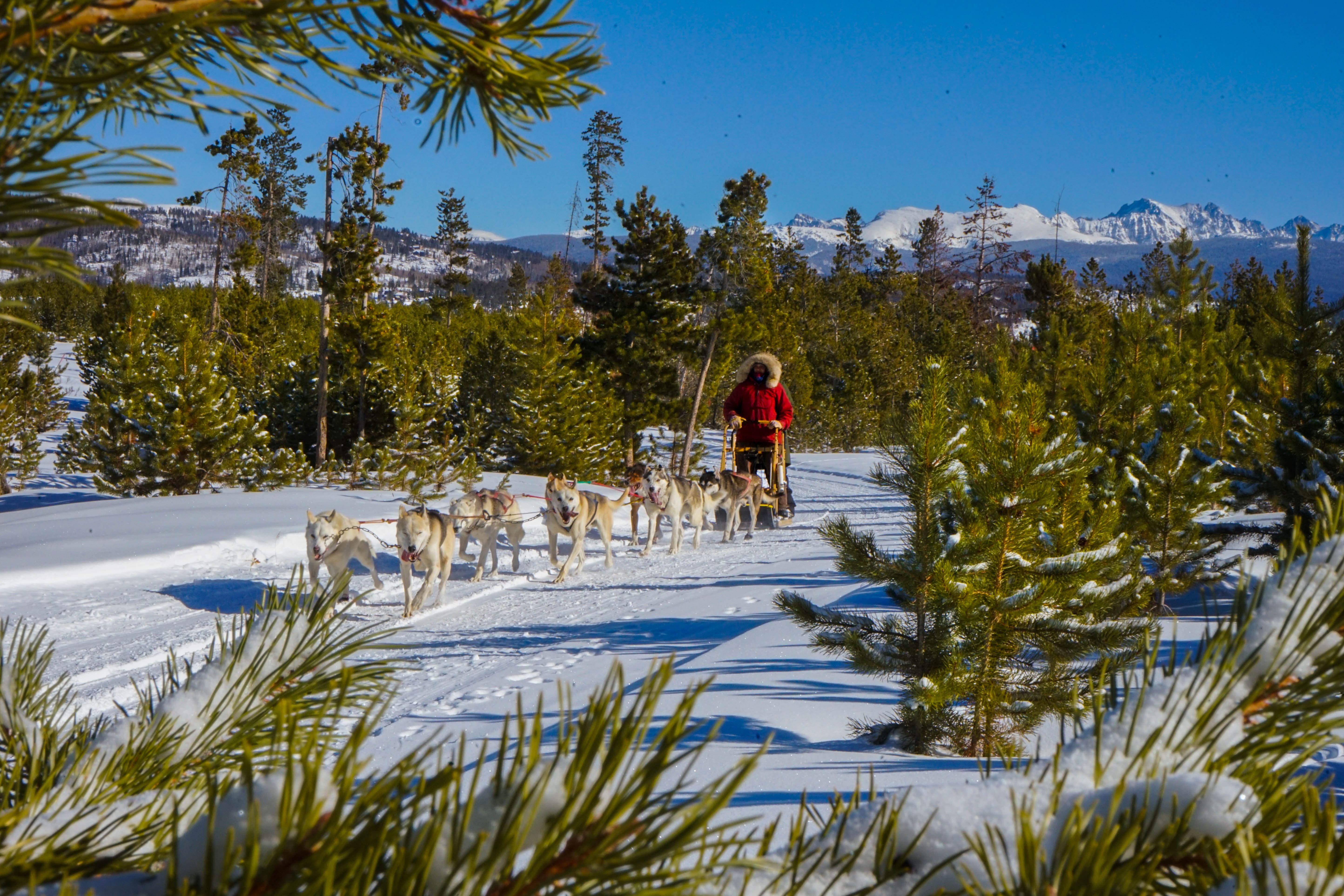 19_12_31_DogSledTours--7-of-7-.jpg