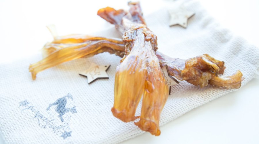 pamperdoodle-elk-tendon