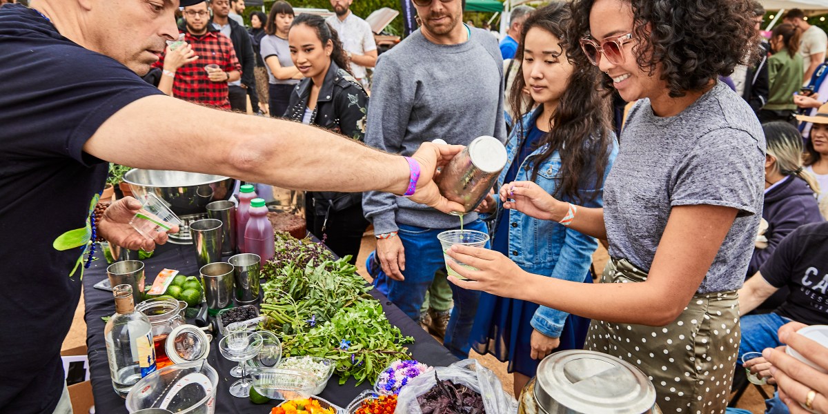 Wild Foraged Cocktails with Matthew Biancaniello