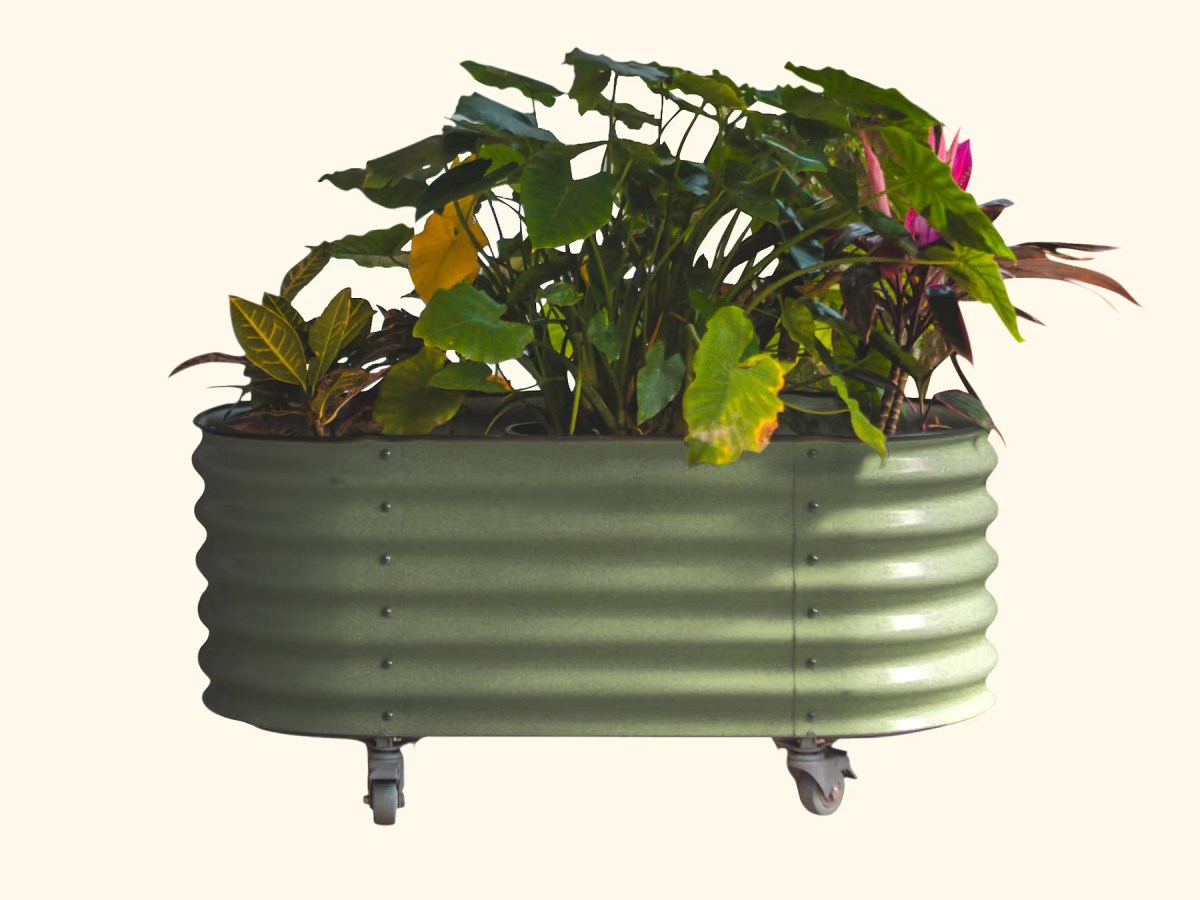 Vego Self-Watering Rolling Garden Bed