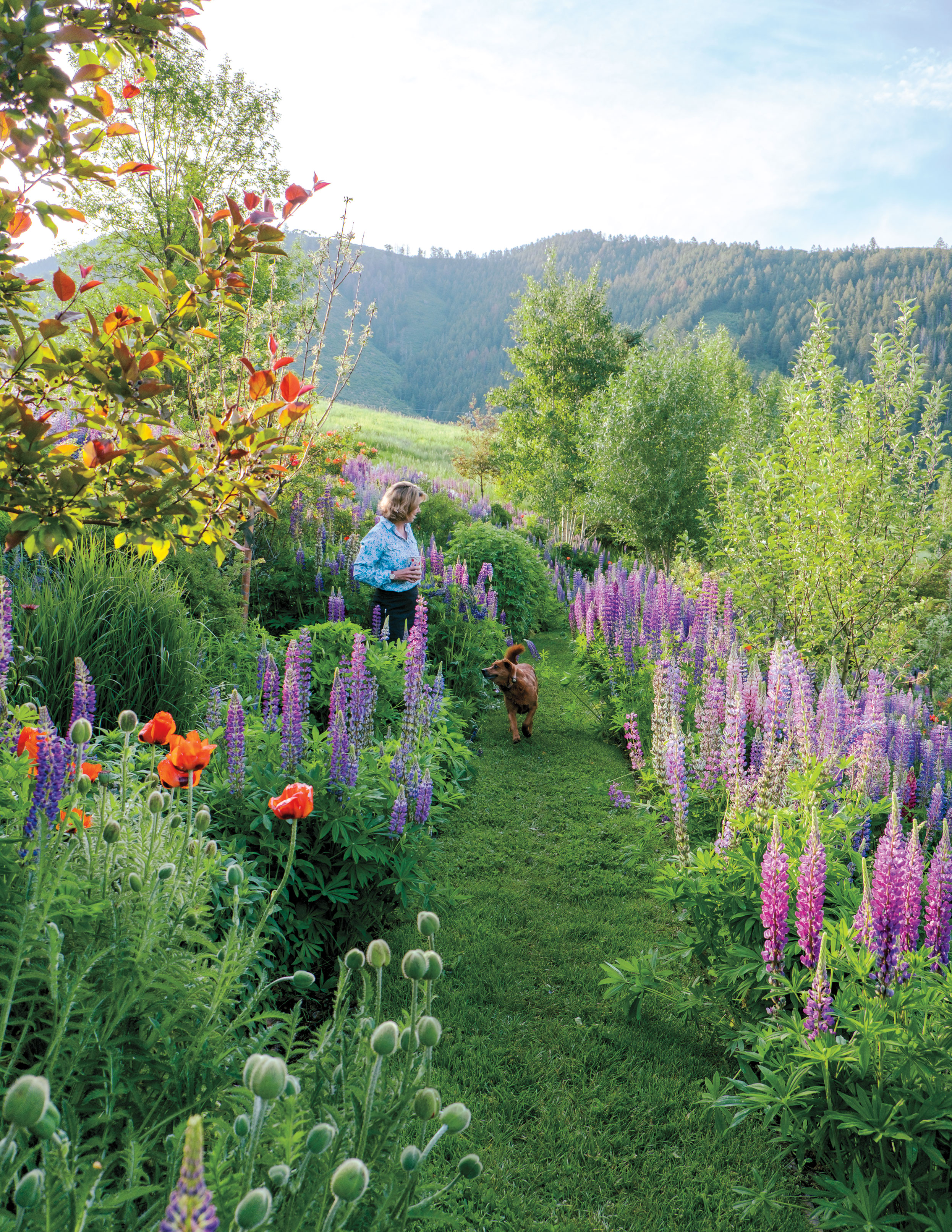 These Cool Garden Gadgets Will Save Water, Time, and Sanity