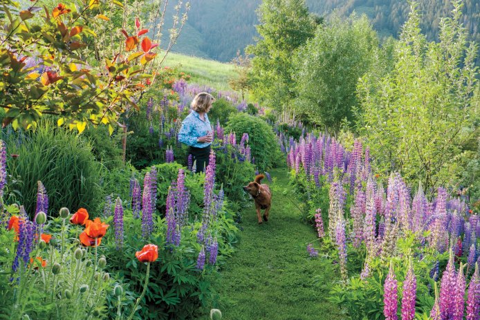 Well Irrigated Garden