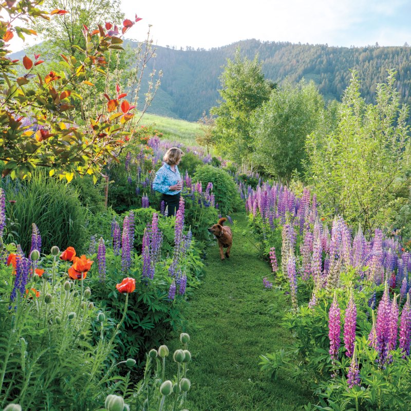 These Cool Garden Gadgets Will Save Water, Time, and Sanity