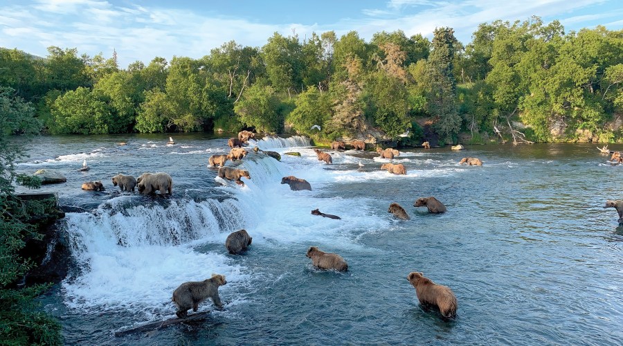 Indulge Your Adventurous Side with These Outdoor Excursions