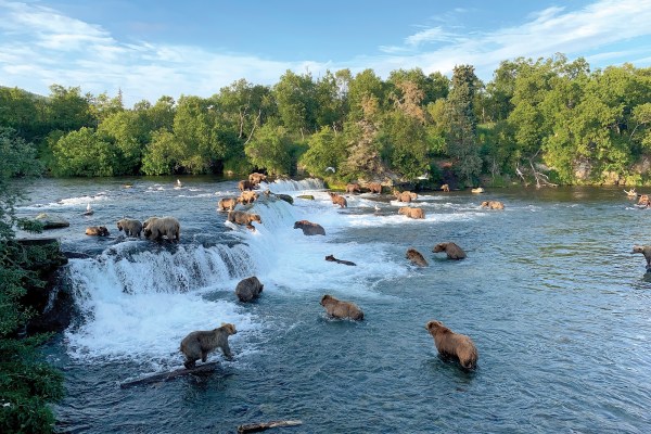 Indulge Your Adventurous Side with These Outdoor Excursions