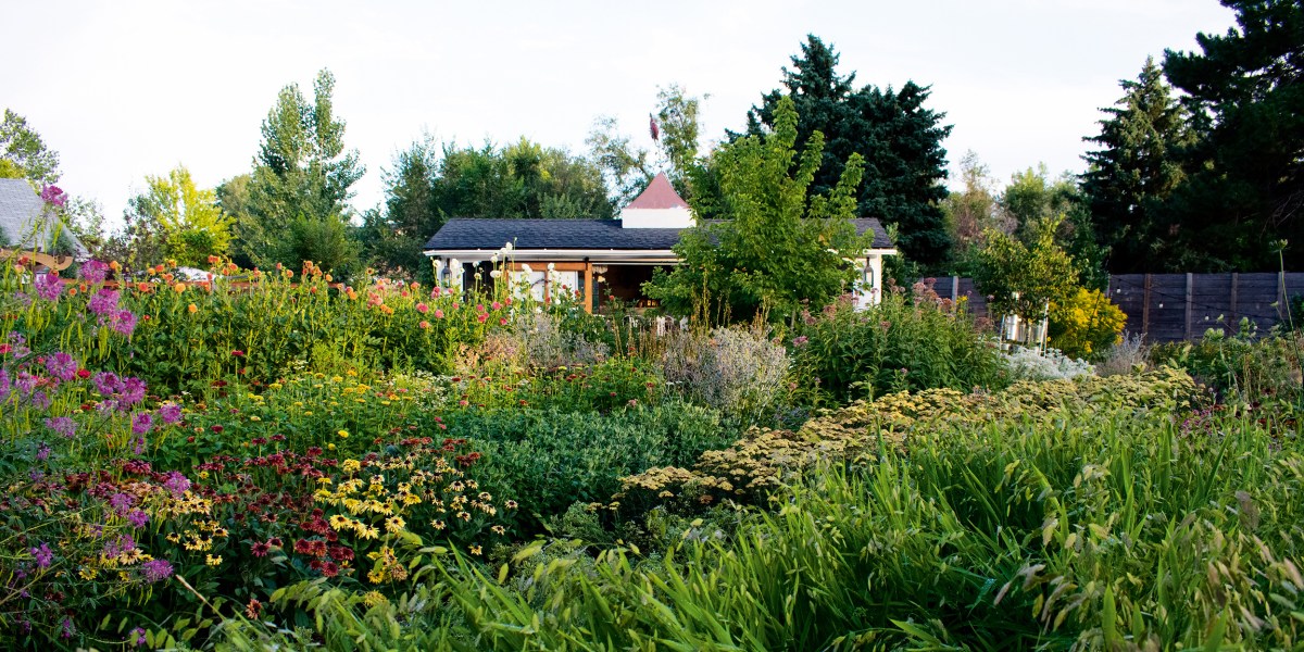 Soil Might Be the Reason Your Garden Isn’t Thriving. Here’s How to Dial in Your Dirt