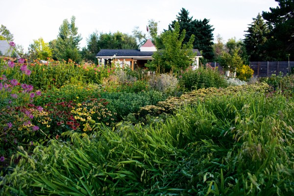 Soil Might Be the Reason Your Garden Isn’t Thriving. Here’s How to Dial in Your Dirt