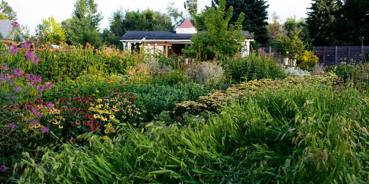 Soil Might Be the Reason Your Garden Isn’t Thriving. Here’s How to Dial in Your Dirt