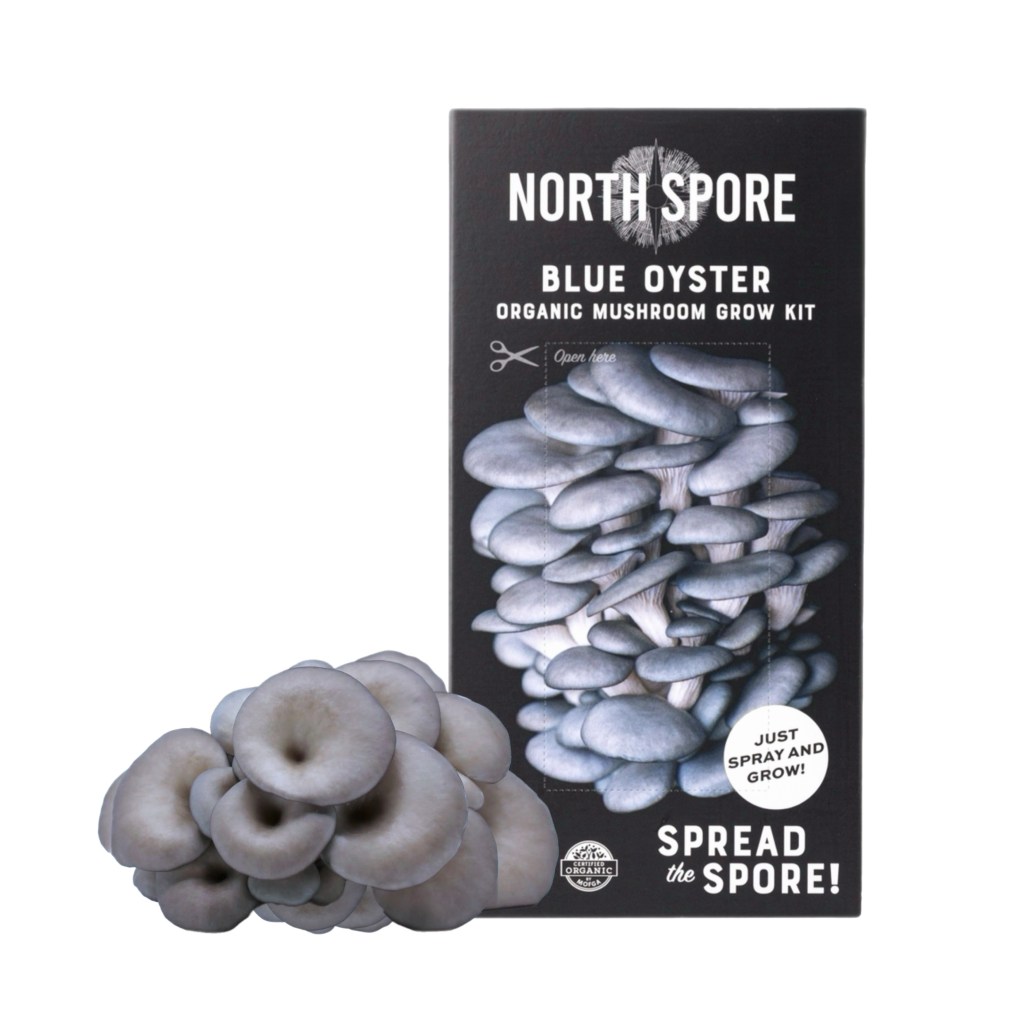 North Spore Blue Oyster Kit