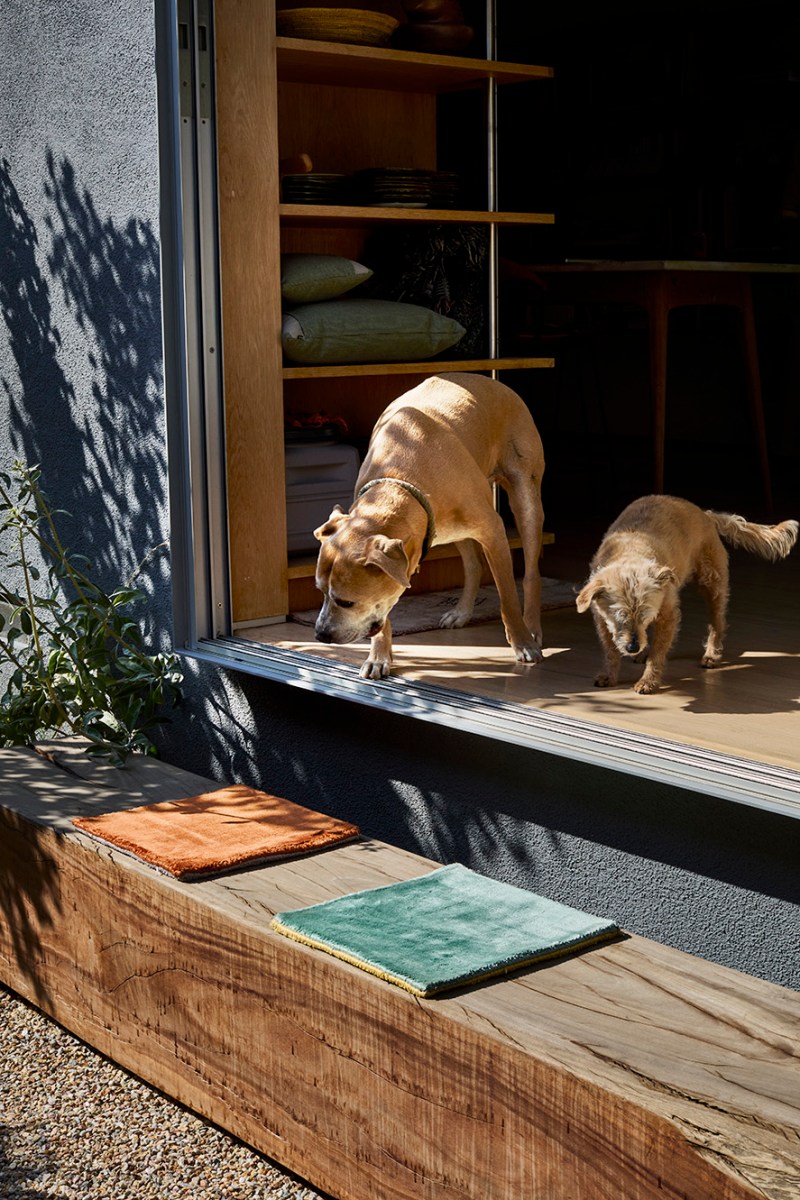 Nectar Landscape Design