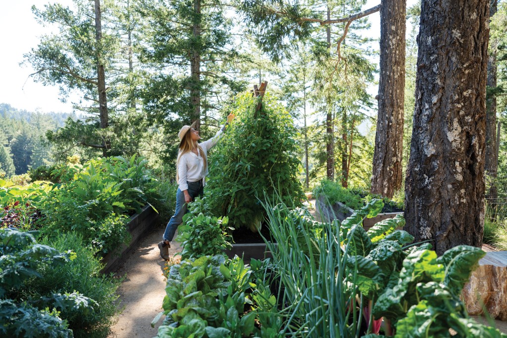 Christiana Drewry in the Garden