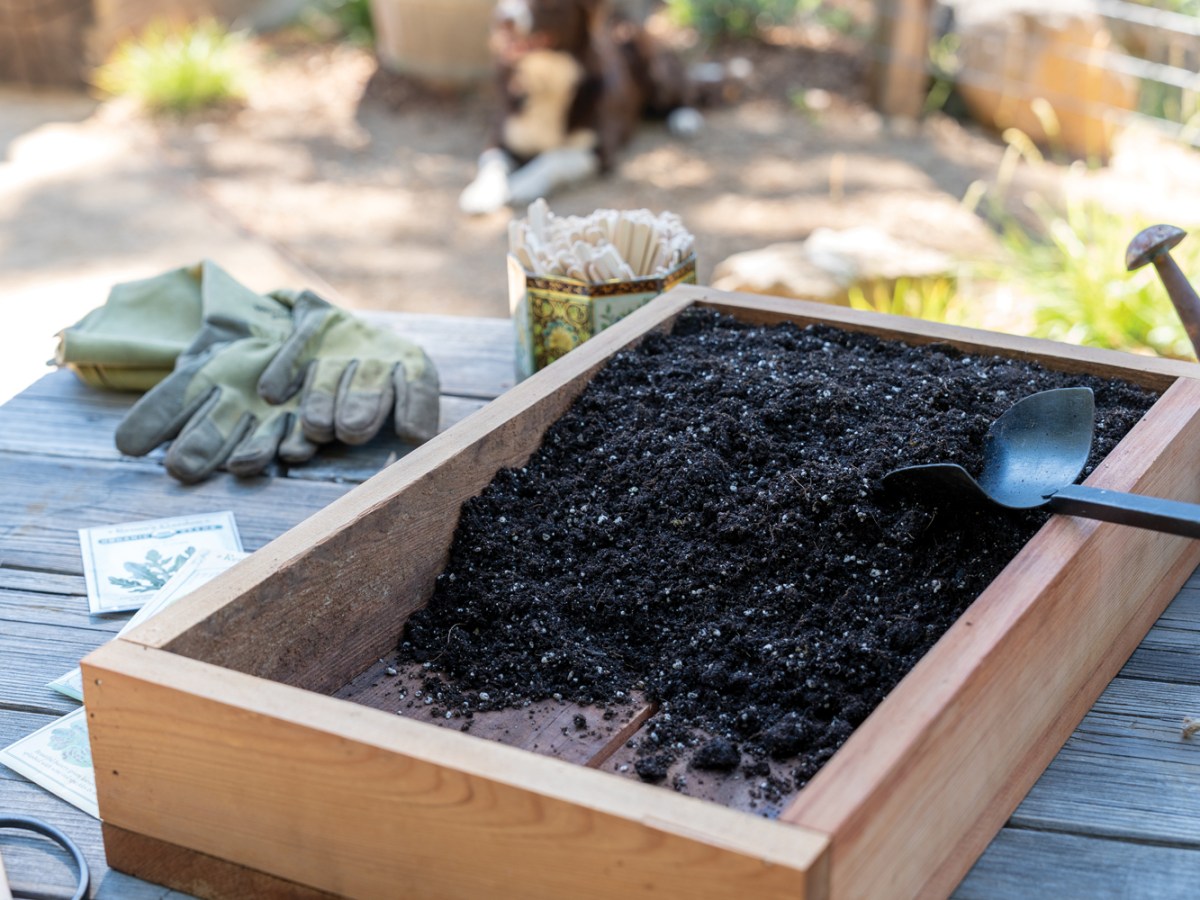 San Geronimo Garden Empty Seed Tray