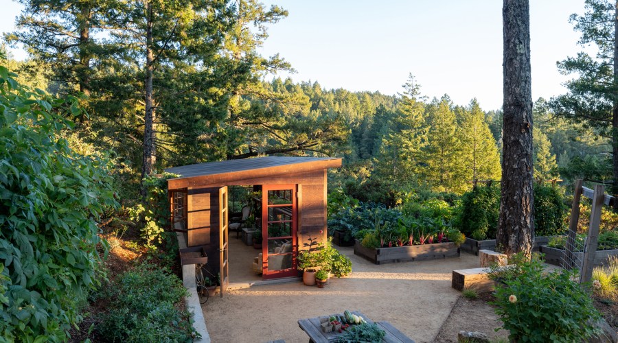 This Cozy Greenhouse Tucked into the Redwoods Is Designed to Nourish Plants and the Soul