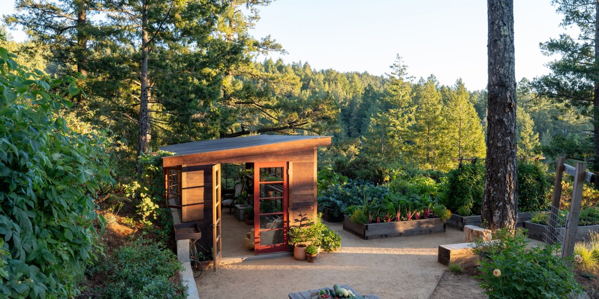 This Cozy Greenhouse Tucked into the Redwoods Is Designed to Nourish Plants and the Soul