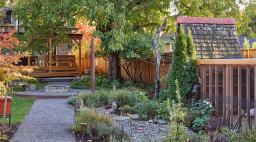 Backyard with Grading