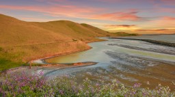 Coyote Hills Regional Park in Fremont
