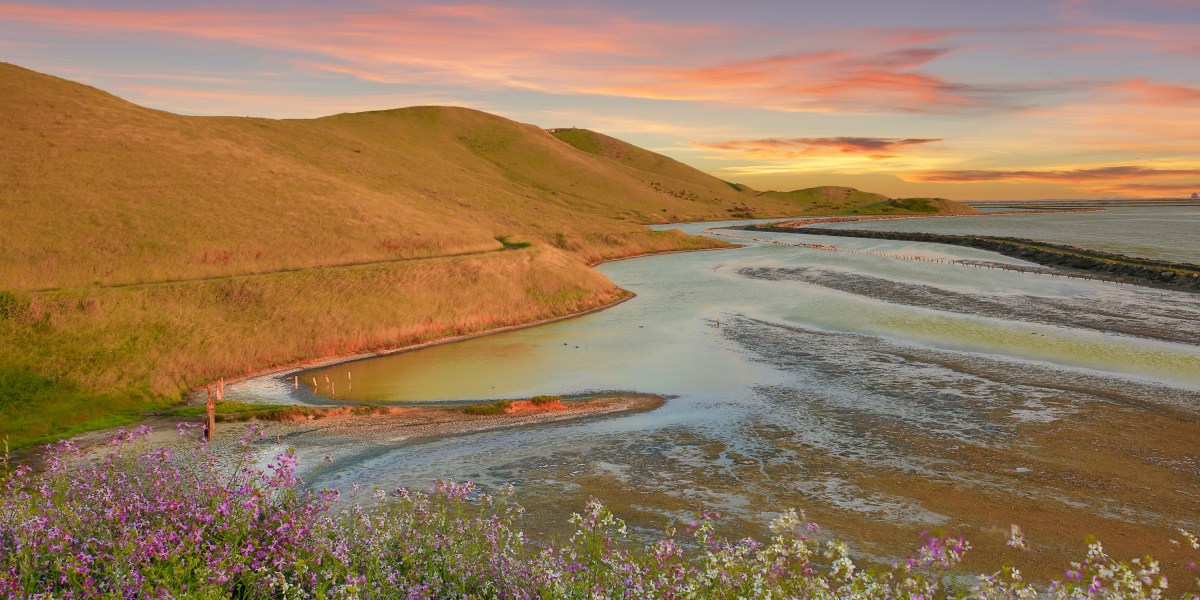 This California Town Is the Happiest City in America—for the Seventh Year Running