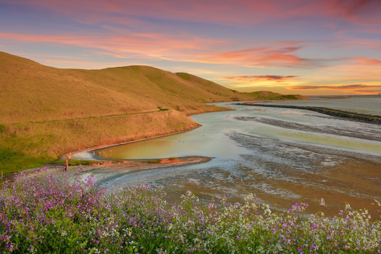 This California Town Is the Happiest City in America—for the Seventh Year Running