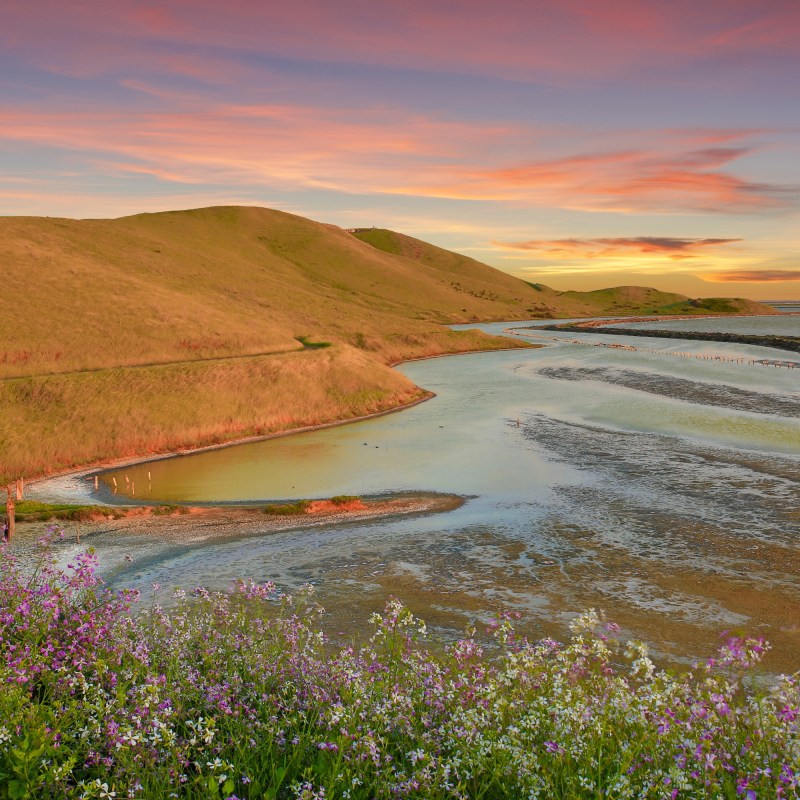 This California Town Is the Happiest City in America—for the Seventh Year Running