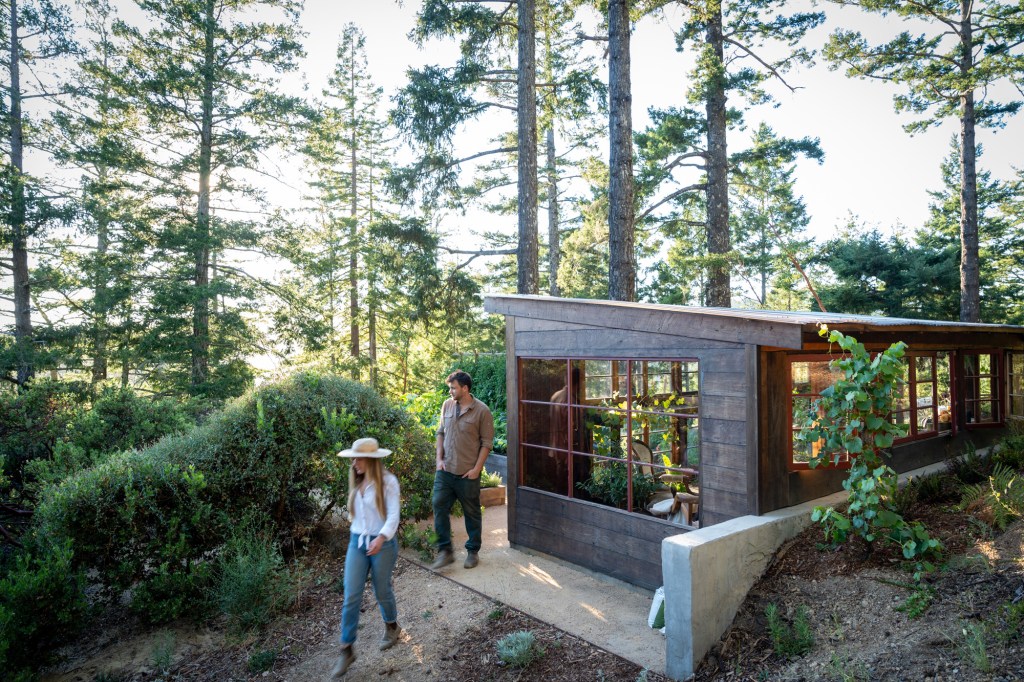 Social Greenhouse Space