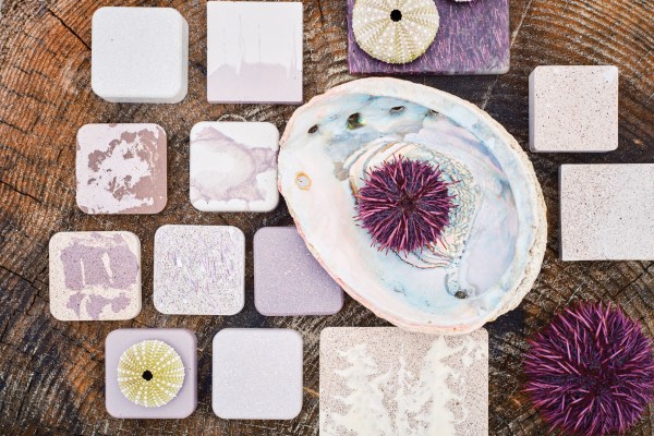 Meet the People Turning Sea Urchins into Sustainable and Super Stylish Tile