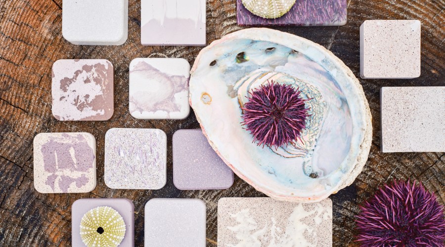Meet the People Turning Sea Urchins into Sustainable and Super Stylish Tile