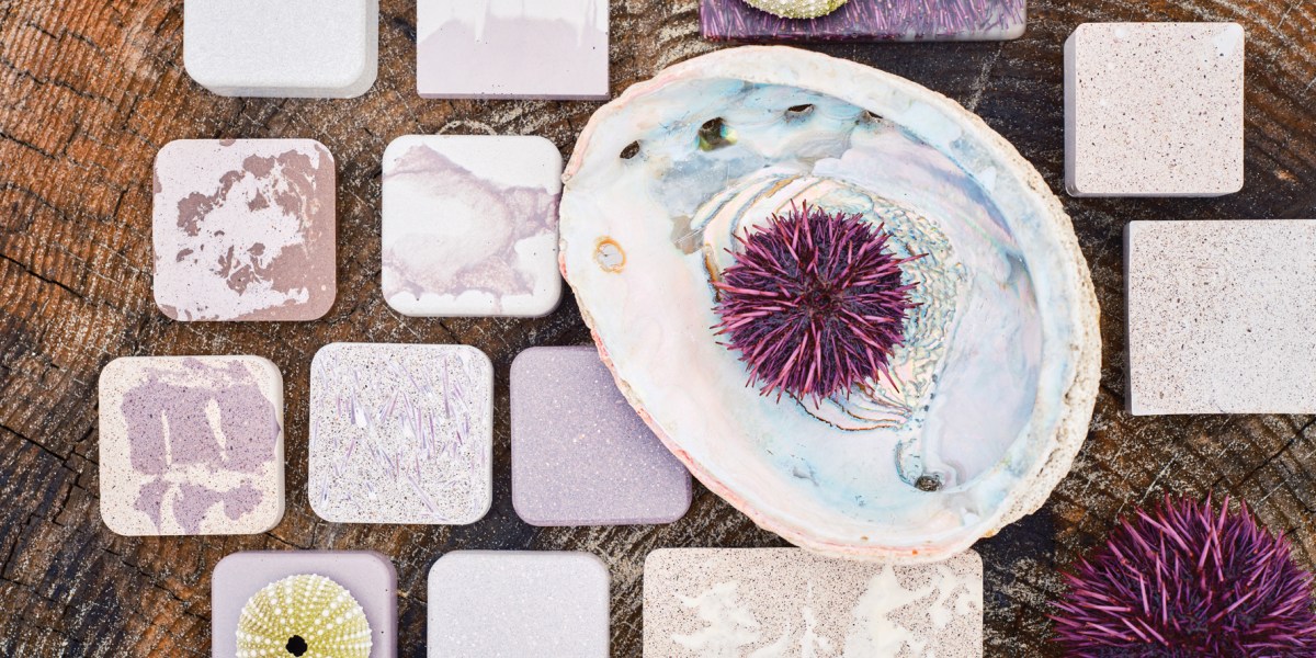 Meet the People Turning Sea Urchins into Sustainable and Super Stylish Tile