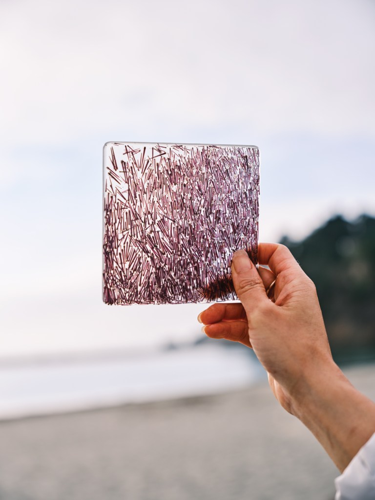 Purple sea urchin tile