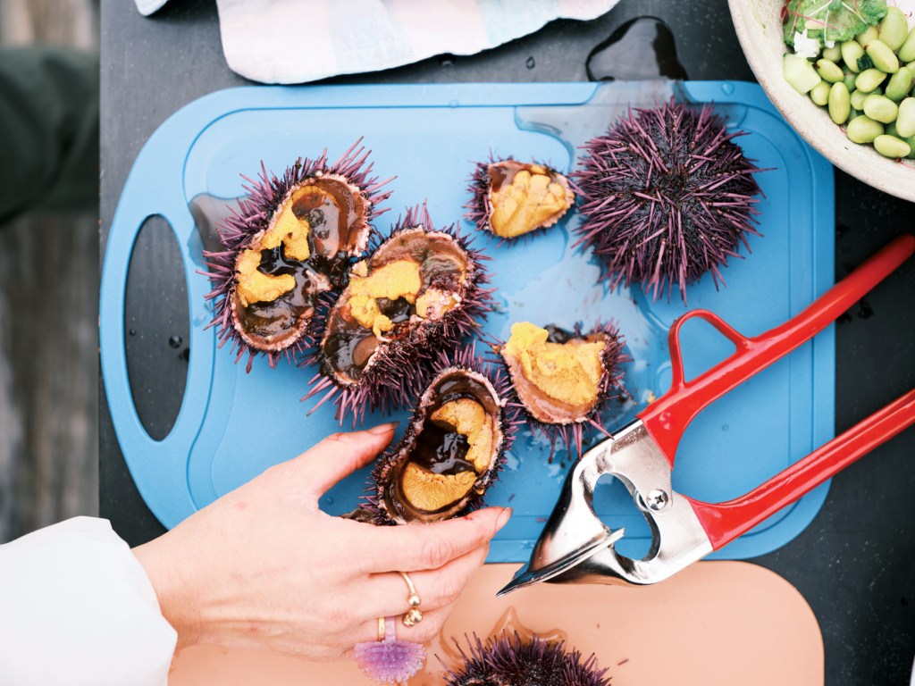 Preparing sea urchin on a blue cutting board
