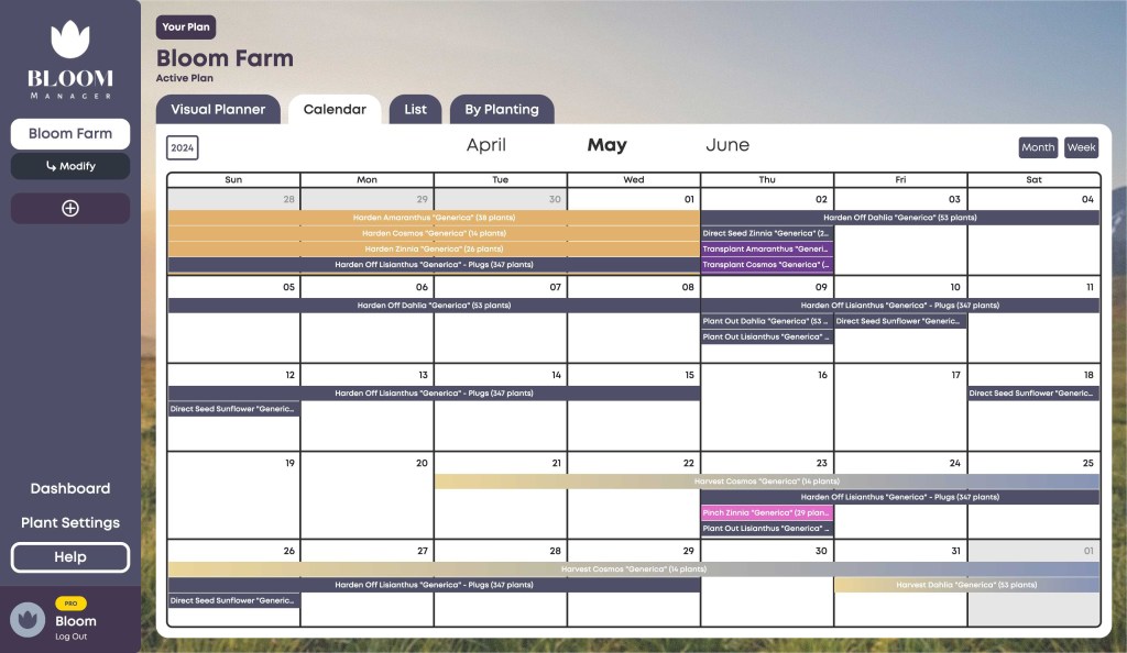 Bloom Manager Interface