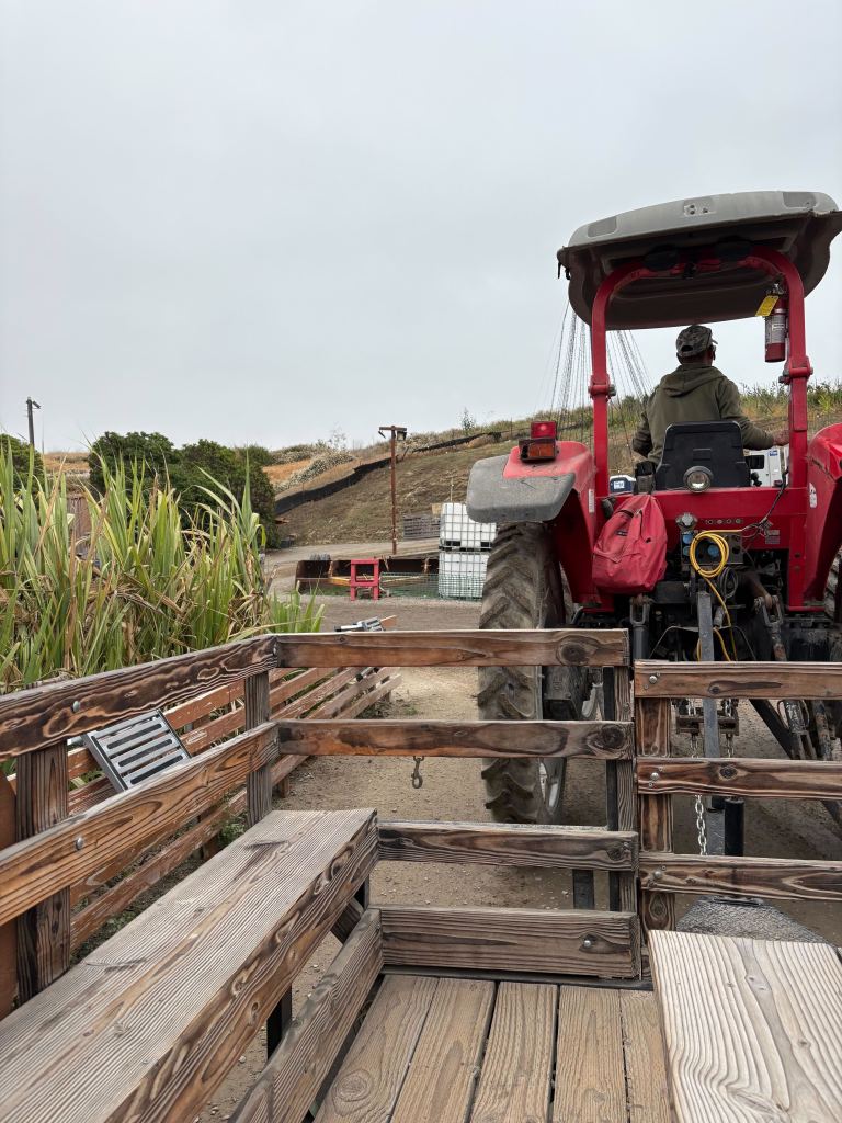 Tractor at Tanaka Farms