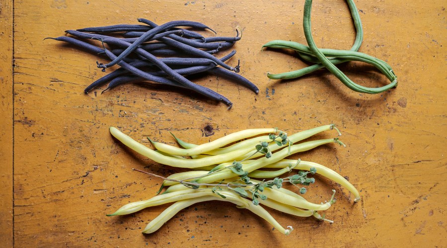 Wax Beans