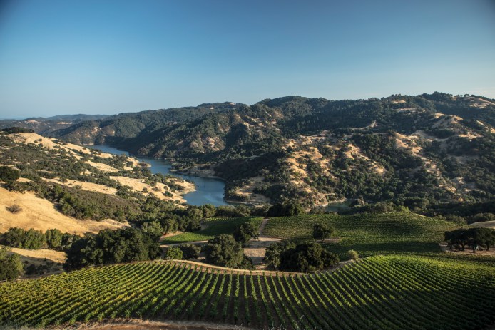 View from the Mauritson Wines vineyard.