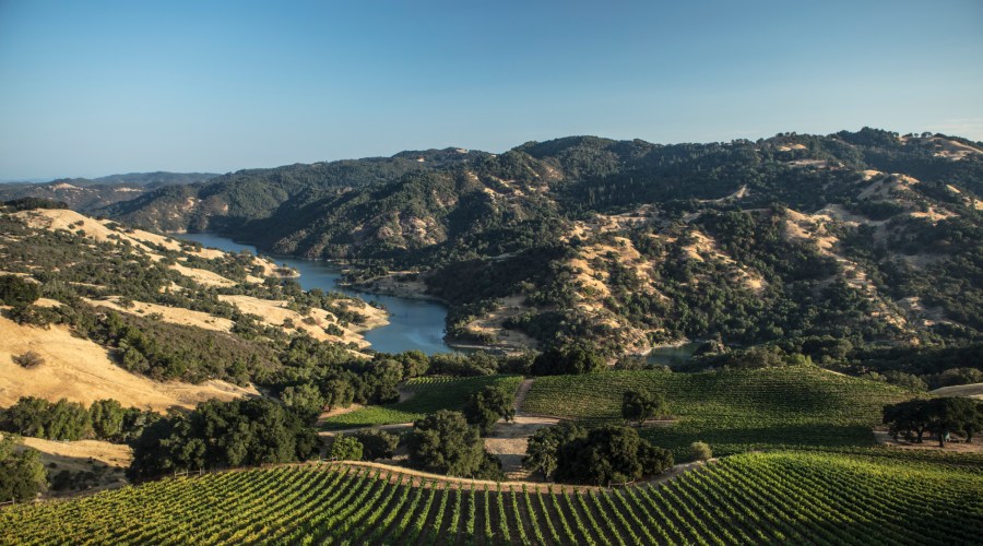 What Is an AVA? This Key Detail Will Make Buying Wine So Much Easier