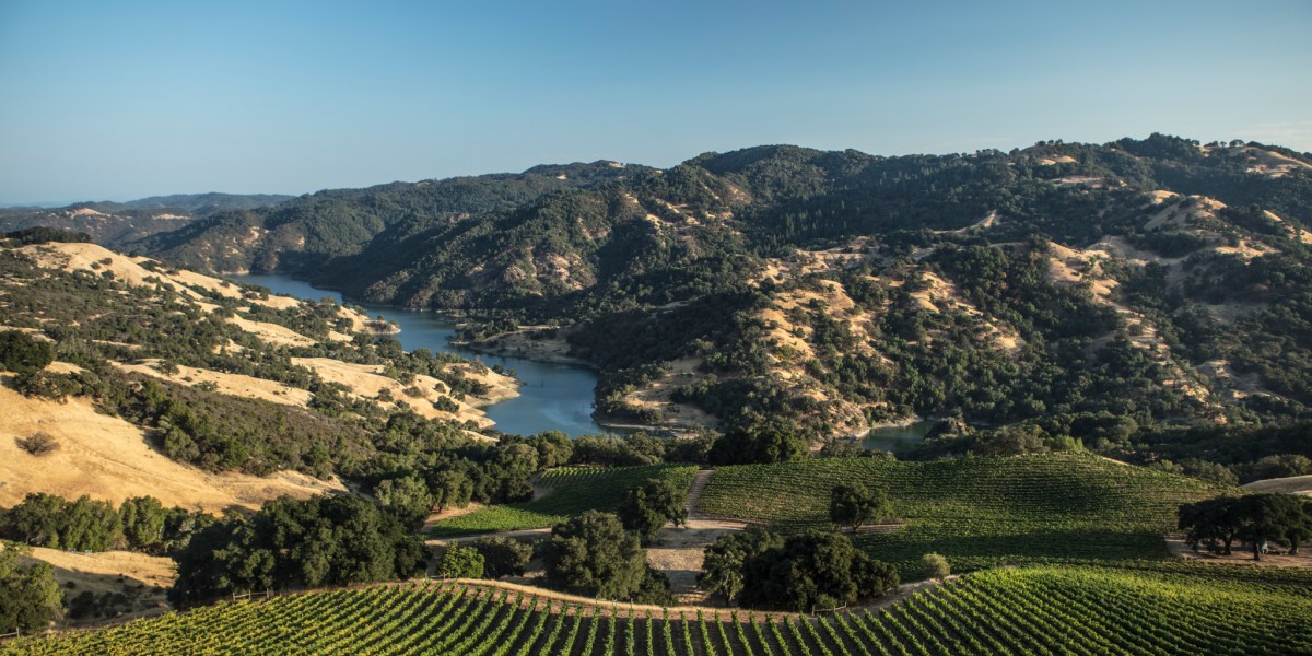 What Is an AVA? This Key Detail Will Make Buying Wine So Much Easier