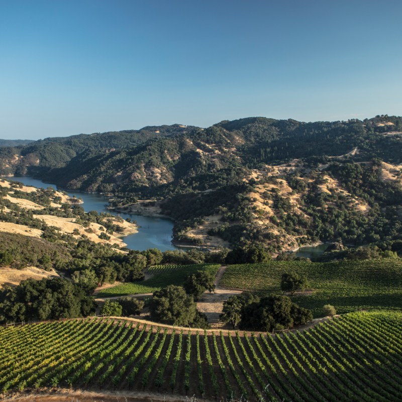 What Is an AVA? This Key Detail Will Make Buying Wine So Much Easier