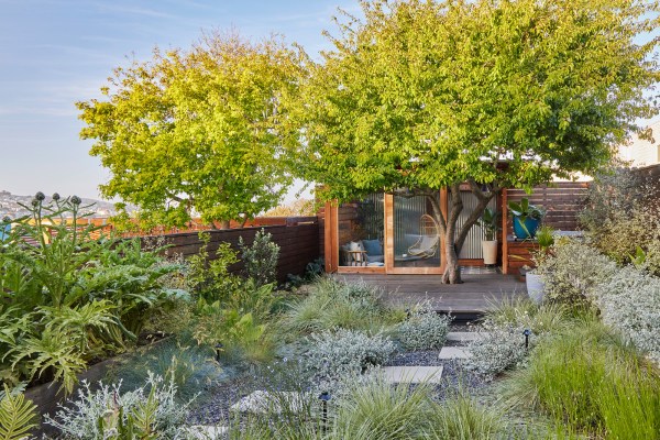 Bored with Your Backyard? Here Are 4 Easy Ways to Add Personality to Your Landscape Design