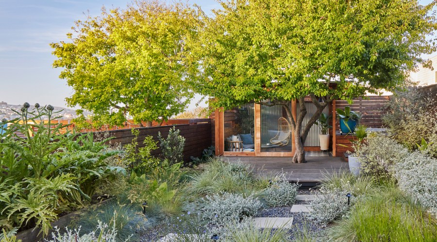 Bored with Your Backyard? Here Are 4 Easy Ways to Add Personality to Your Landscape Design