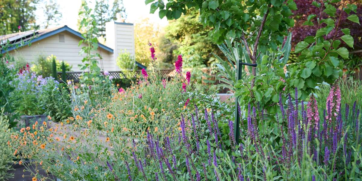 Why Just About Everyone Is Obsessed with ‘Lasagna Gardening’ Right Now