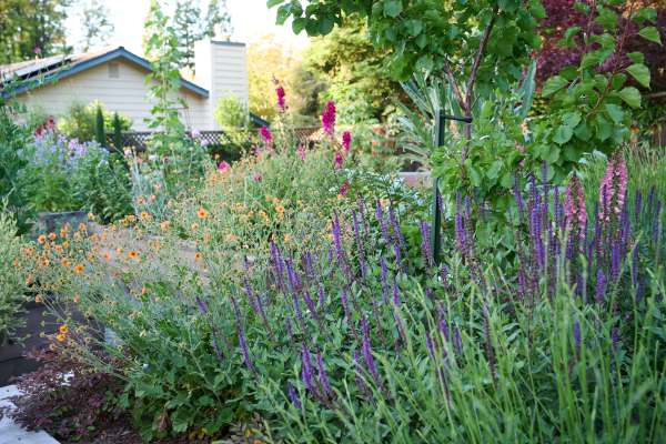 Why Just About Everyone Is Obsessed with ‘Lasagna Gardening’ Right Now