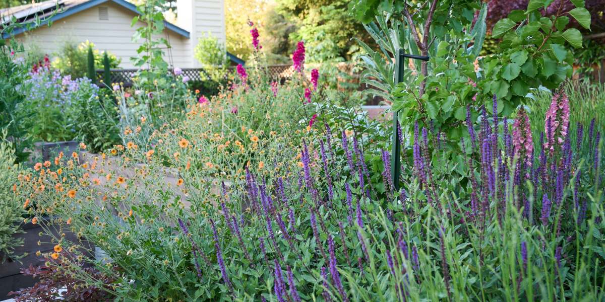 Why Just About Everyone Is Obsessed with ‘Lasagna Gardening’ Right Now